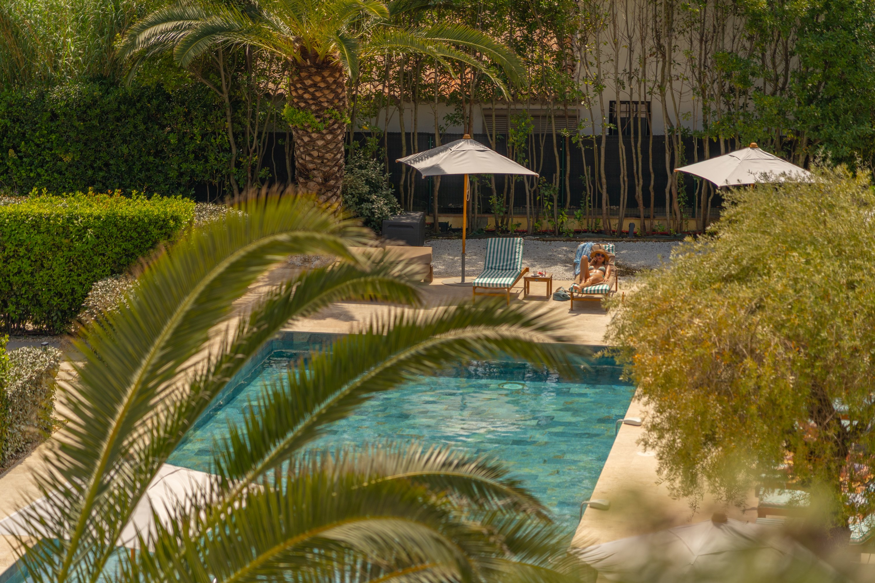 Piscine entre les feuillages